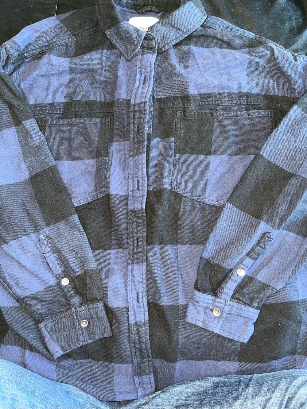 Men's Aerie Blue and Black Check Flannel Shirt